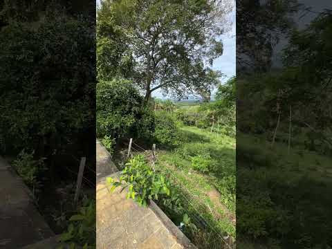 Separa con 6 millones tu  Lote en Melgar Tolima