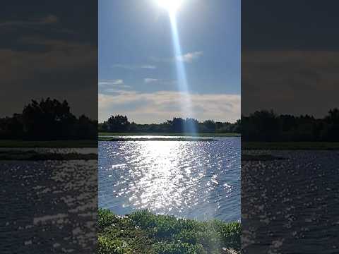 Laguna de San Vicente en Buenos Aires Argentina