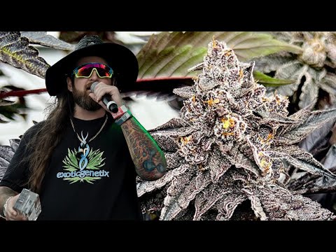 Exotic Genetix Best Strain
