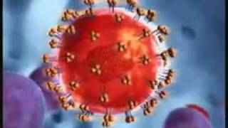 Retrovirus Replication 3D Animation