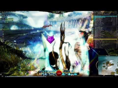 NEW to WvW? Support Firebrand Training by Mope