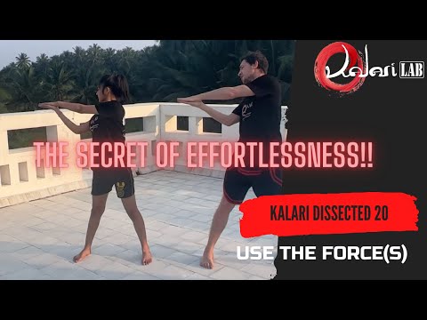 THE SECRET OF EFFORTLESSNESS | Kalari DISSECTED 20th Cut!