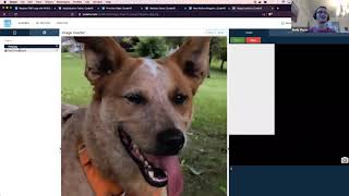 How to Use the CodeHS IDE & Sandbox thumbnail