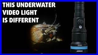 NOT your ordinary underwater video light - XTAR D40 Zoom Review
