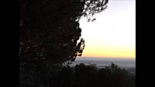 ALMA AUSENTE de Federico García Lorca