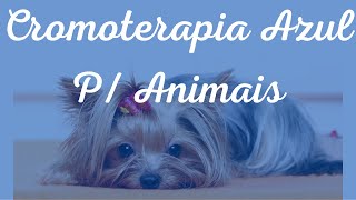 Cromoterapia Azul + Musicoterapia - Relaxamento e Tratamento Natural Para Animais