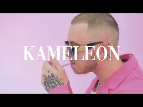 PlanBe & Sir Mich feat. Mr. Polska - Kameleon [Official Audio]