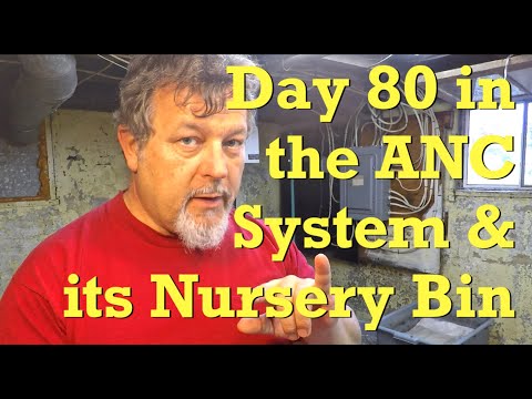 80-day ANC worm composting system & its cocoon nursery - vermicompost