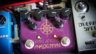 Analogman King of Tone | King of Tone Review