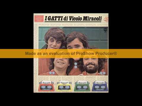 I Successi De... I Gatti Di Vicolo Miracoli - (15 Canzoni)