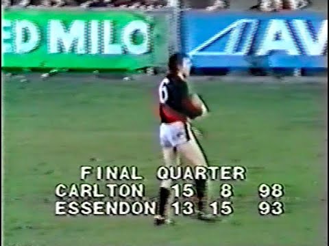 Essendon Highlights - Rd 20 1981 v Carlton