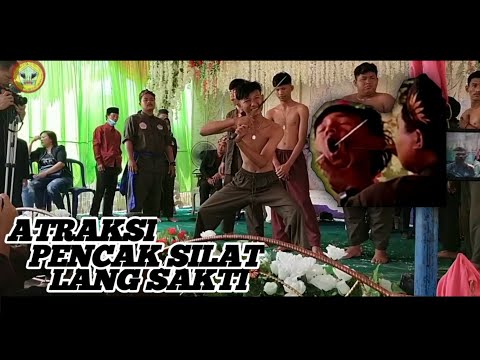 Ngerii!! Atraksi Debus Lang Sakti