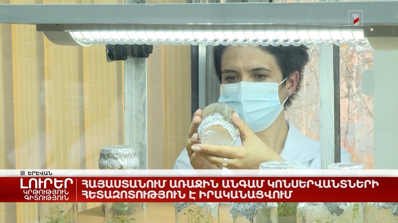 Հայաստանում առաջին անգամ կոնսերվանտների հետազոտություն է իրականացվում