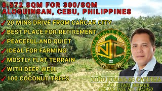 Lot for sale 8,572 sqm clean title Rosario Aloguinsan Cebu Philippines 300/sqm
