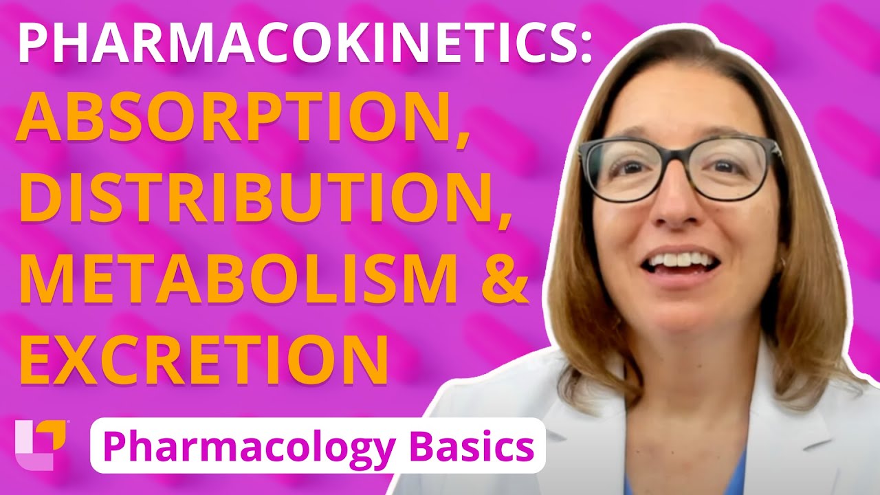 Pharmacokinetics: Absorption, Distribution, Metabolism, Excretion - Pharmacology Basics |@LevelUpRN