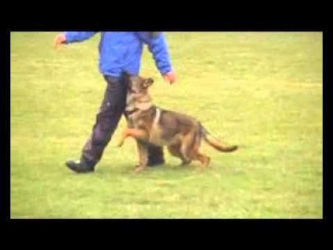 Face of Vargo Aykmar 8,5 months