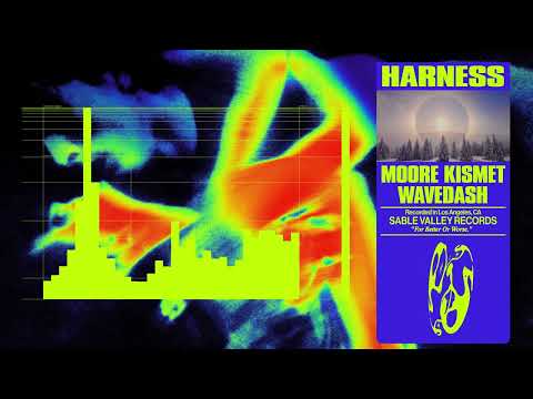 Video thumbnail for HARNESS