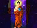 Buddha Whatsapp Fullscreen Status Buddha Fullscreen Whatsapp Status Trending