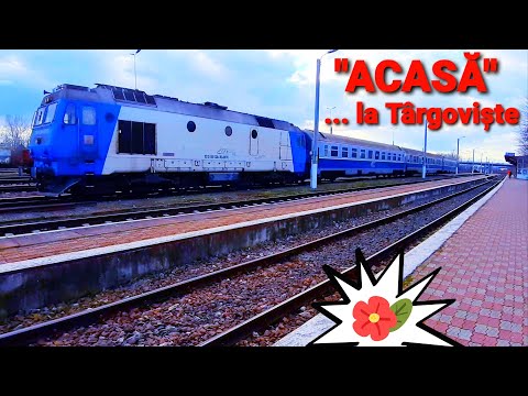 ''ACASA'' ... la Targoviste