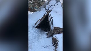 "Наркоманы, мерзота, но молодцы - не ворюги"