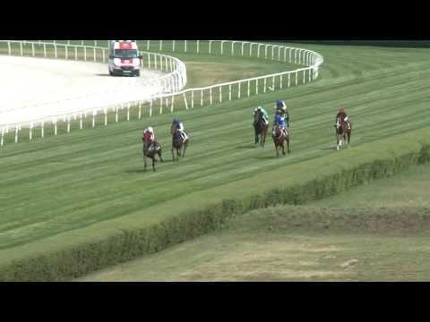 2017.07.23. 3. futam - NYERETLEN KÉTÉVESEK VERSENYE (IV.kat.)