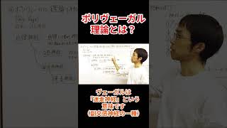 ポリヴェーガル理論とは？ #不安障害 #hsp