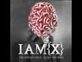 IAMX - The Unified Field 