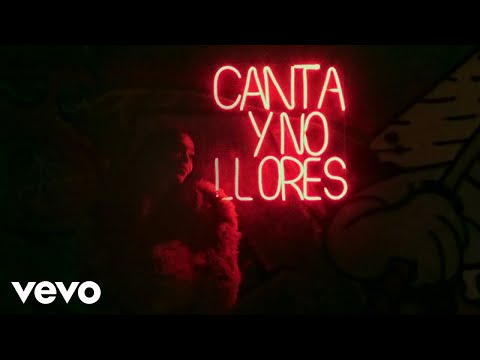 Danna - 222 (Visualizer)