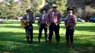 Tumbling Tumbleweeds