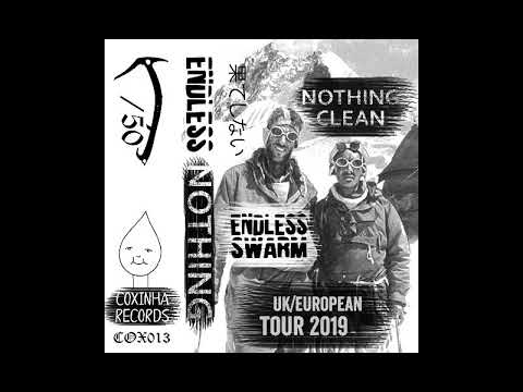 Endless Swarm / Nothing Clean - Tour 2019 [Grindcore / Powerviolence]