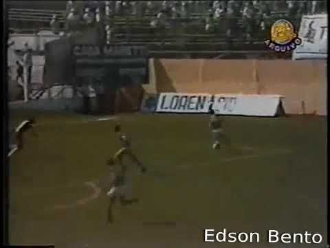 Novorizontino 0x3 Palmeiras                                                Campeonato Paulista  1986