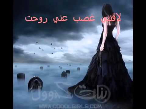 صابر الرباعي شارع الغرام