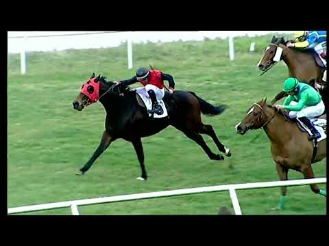 Napoli Galoppo 30/01/2022 - 6ª corsa