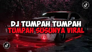 Download lagu DJ TUMPAH TUMPAH SUSUNYA CAKEP TAPI SAYANG JADI BEBAN KELUARGA JEDAG JEDUG VIRAL TIKTOK mp3