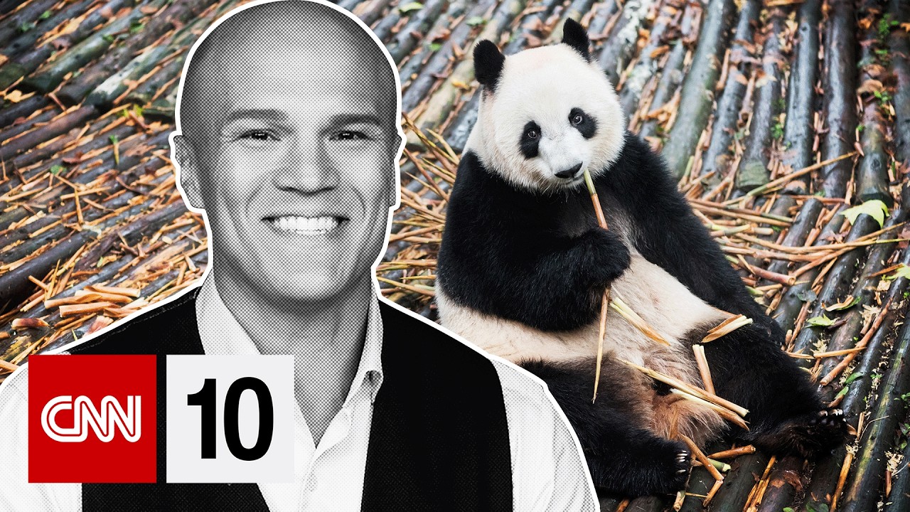 Why Pandas are unlike any other bear | February 5, 2026