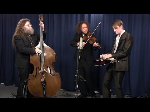 The Hot Biscuits - Triskaidekaphobia