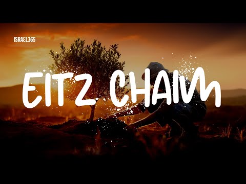 Tree of Life (Eitz Chaim) by Safam