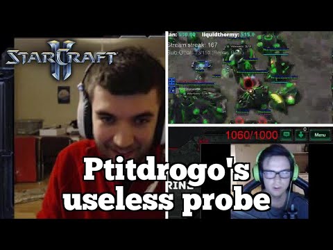 Daily Starcraft Highlights: Ptitdrogo's useless probe