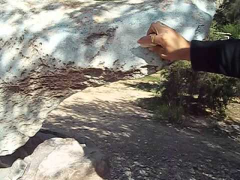 PIEDRA CAMPANA