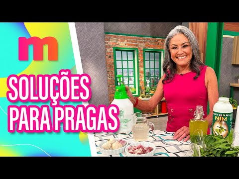 Learn the BEST methods to eliminate pests from your home - Women (11/19/2025)