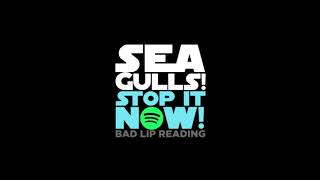 Seagulls (Stop It Now!) (Official Audio Version) - Bad Lip Reading