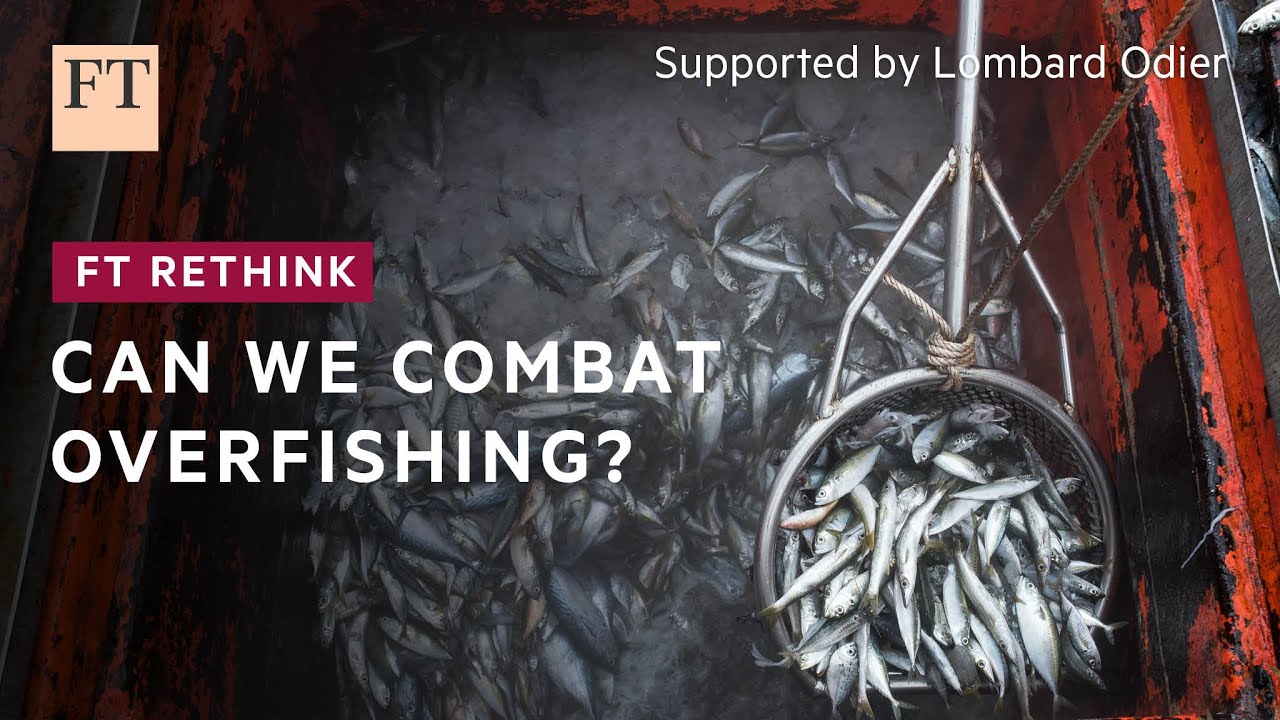 Sustaining Global Fish Supply: Can Demand Be Met?