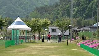 평창파크골프장 / 지금은 지방시대 /  G1방송 / 260513