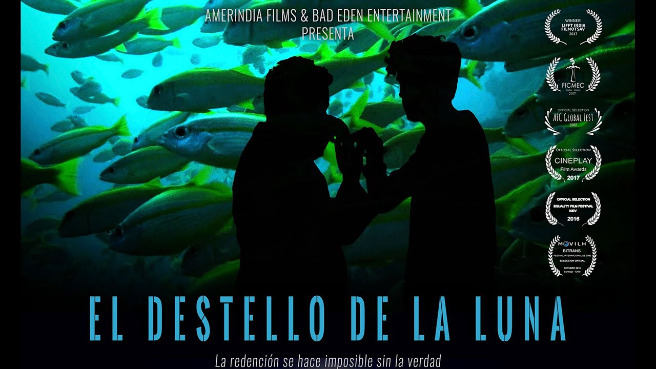 EL DESTELLO DE LA LUNA - TRAILER