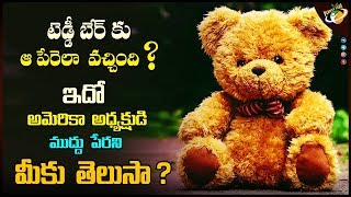 Unknown &amp; Real Facts About Teddy Bear | Planet Leaf