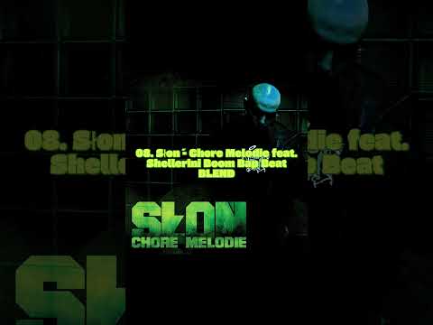 08  Słoń Chore Melodie feat  Shellerini Boom Bap Beat  BLEND ‐ za #hiphop #rap #newmusic #remix