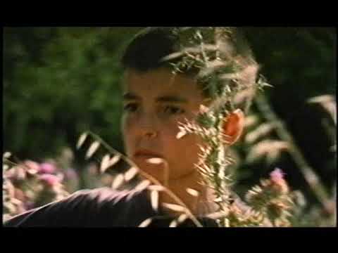 Cinema Sardegna   Film   Arcipelaghi   Giovanni Columbu 2001