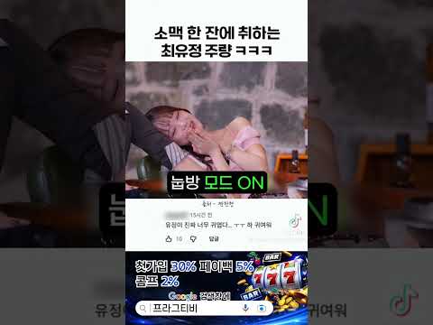 소맥 한잔에 취하는 최유정보다 유명한 프라그티비