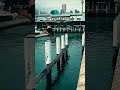 Knees Of Steel Parkour Edit