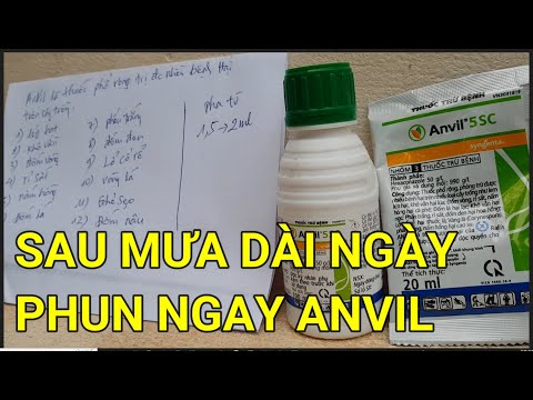 🔴QBS22245 - HƯỚNG DẪN SỬ DỤNG THUỐC ANVIL CHO MAI VÀNG ĐT 0942456100 | DÙNG THUỐC ANVIL MAI VÀNG